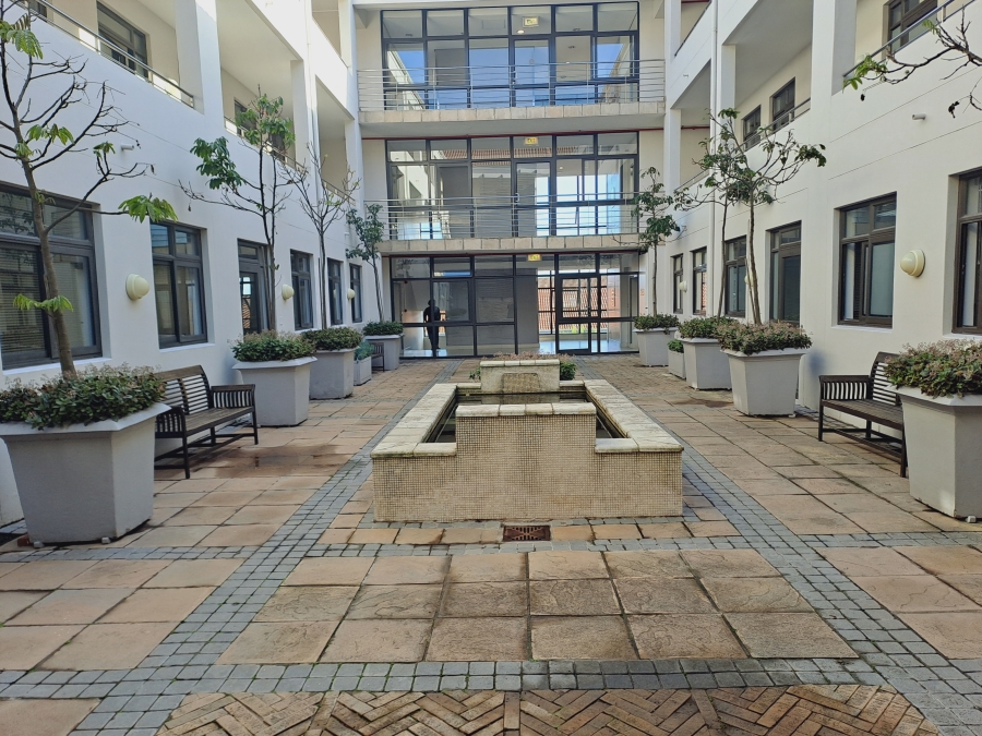 To Let commercial Property for Rent in Century City Western Cape